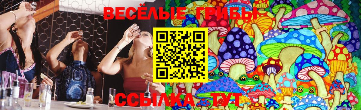Псилоцибиновые грибы прущие грибы Биробиджан