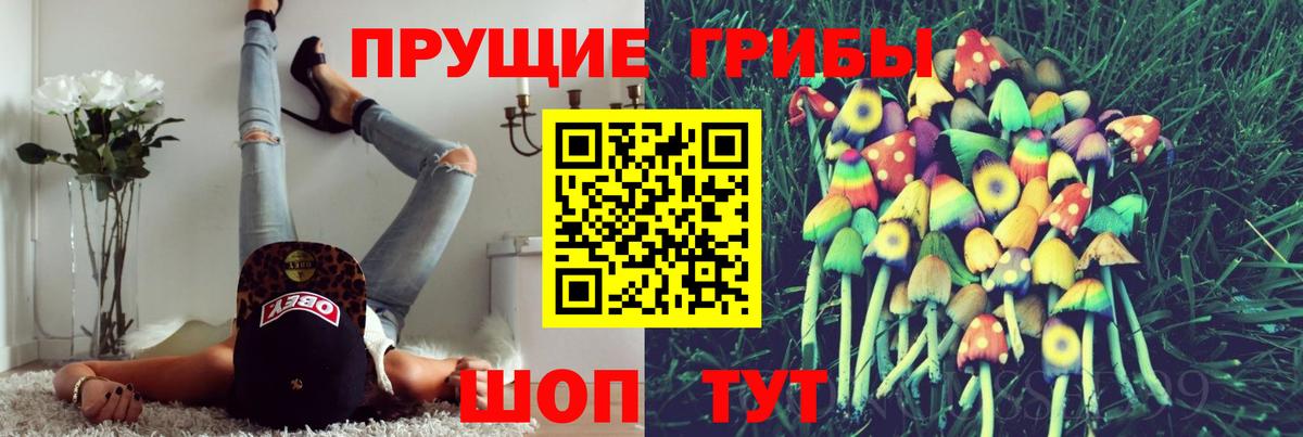 Галлюциногенные грибы мицелий  Вход с VPN  Биробиджан 