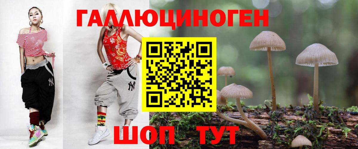 Псилоцибиновые грибы мицелий Биробиджан