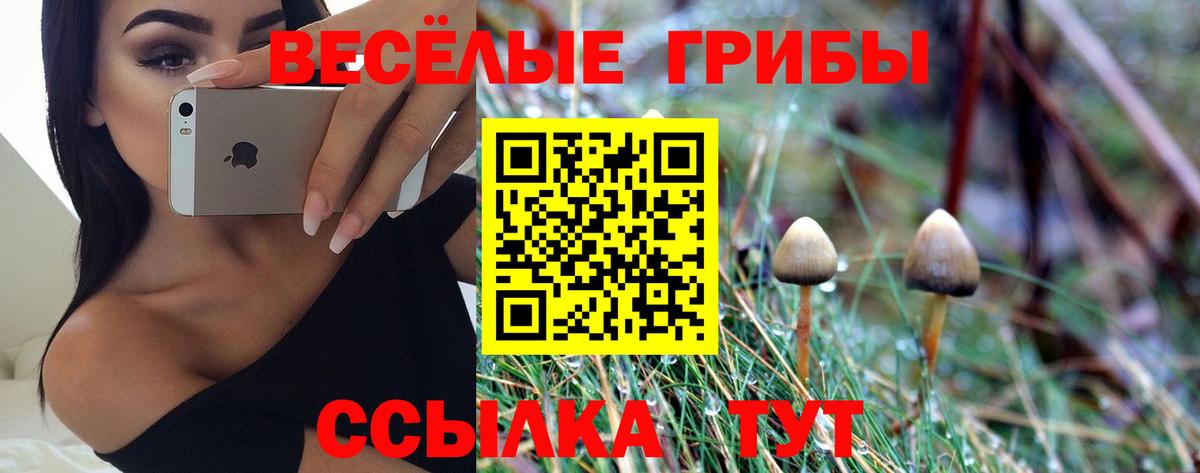 Биробиджан  даркнет сайт  Вход с VPN  Псилоцибиновые грибы Psilocybe 