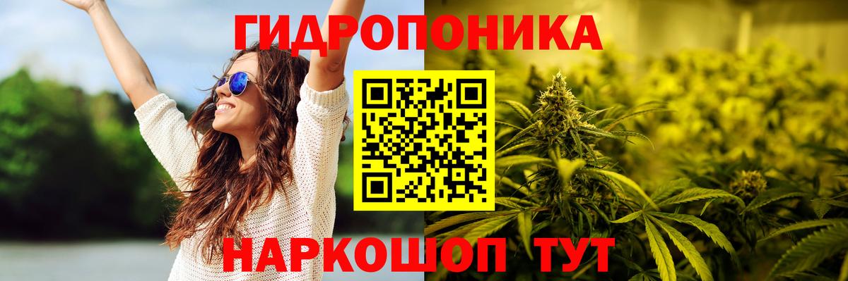 Бошки Шишки ГИДРОПОН  Шишки марихуана VHQ  Вход с VPN  Марихуана White Widow  Биробиджан  Шишки марихуана план 
